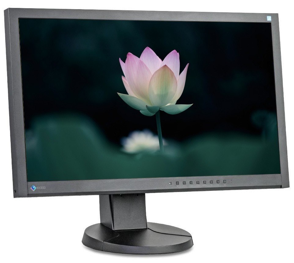 Monitor EIZO 23" EV2315W 1920x1080p TN